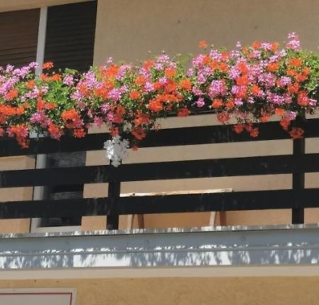 Fiocco Di Neve Hotell Tarvisio Eksteriør bilde